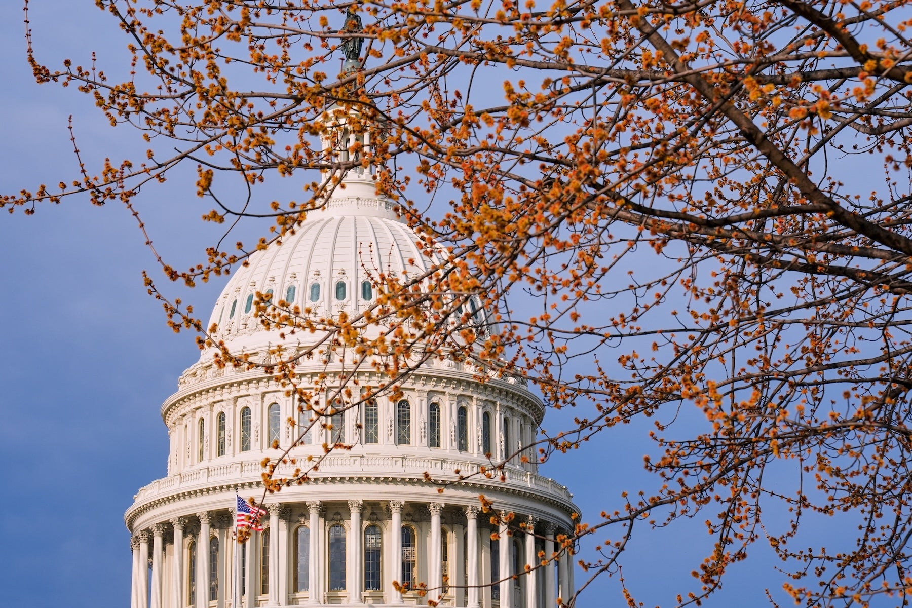 Senate Tax Bill Could Choke Off Rental Housing Investment