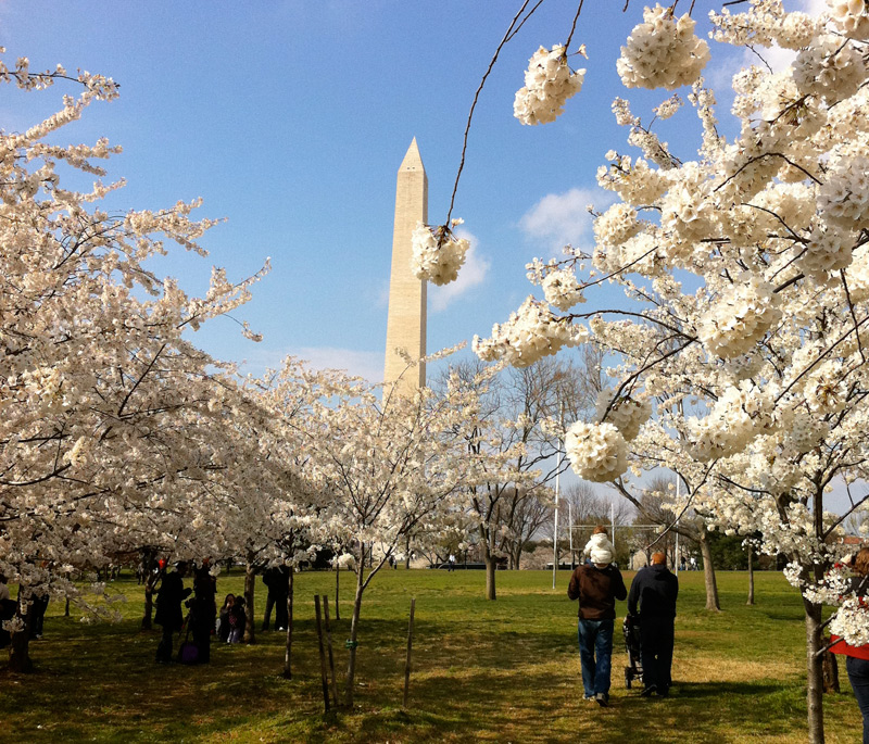 KidFriendly DC's Family Travel Playbook for the Capital Set