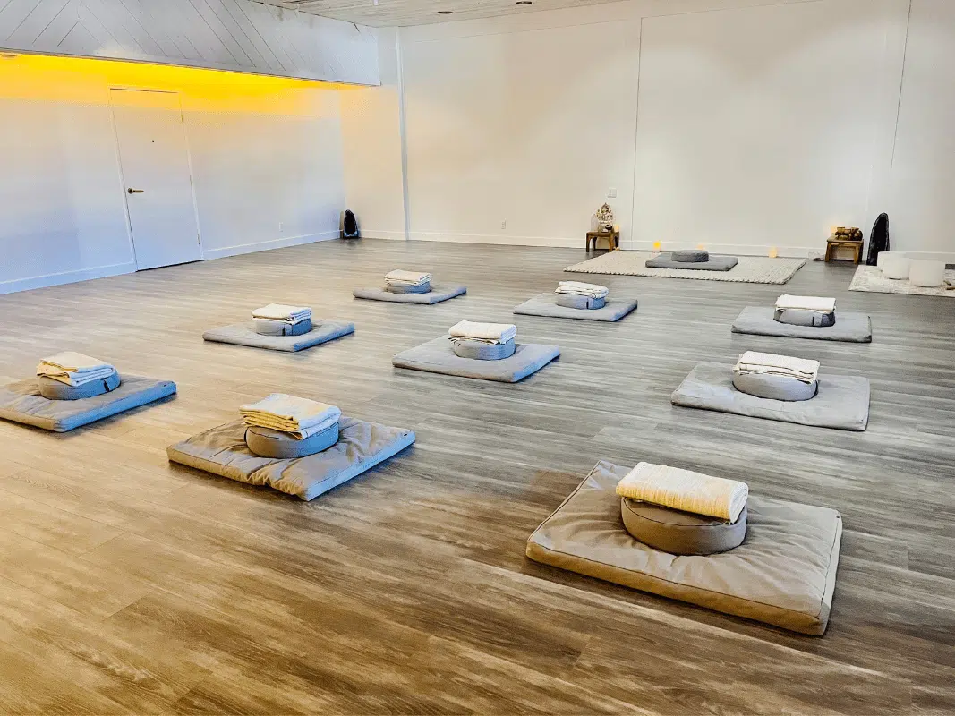 World Meditation Day Arrives in DC: Stillness Meets Statecraft