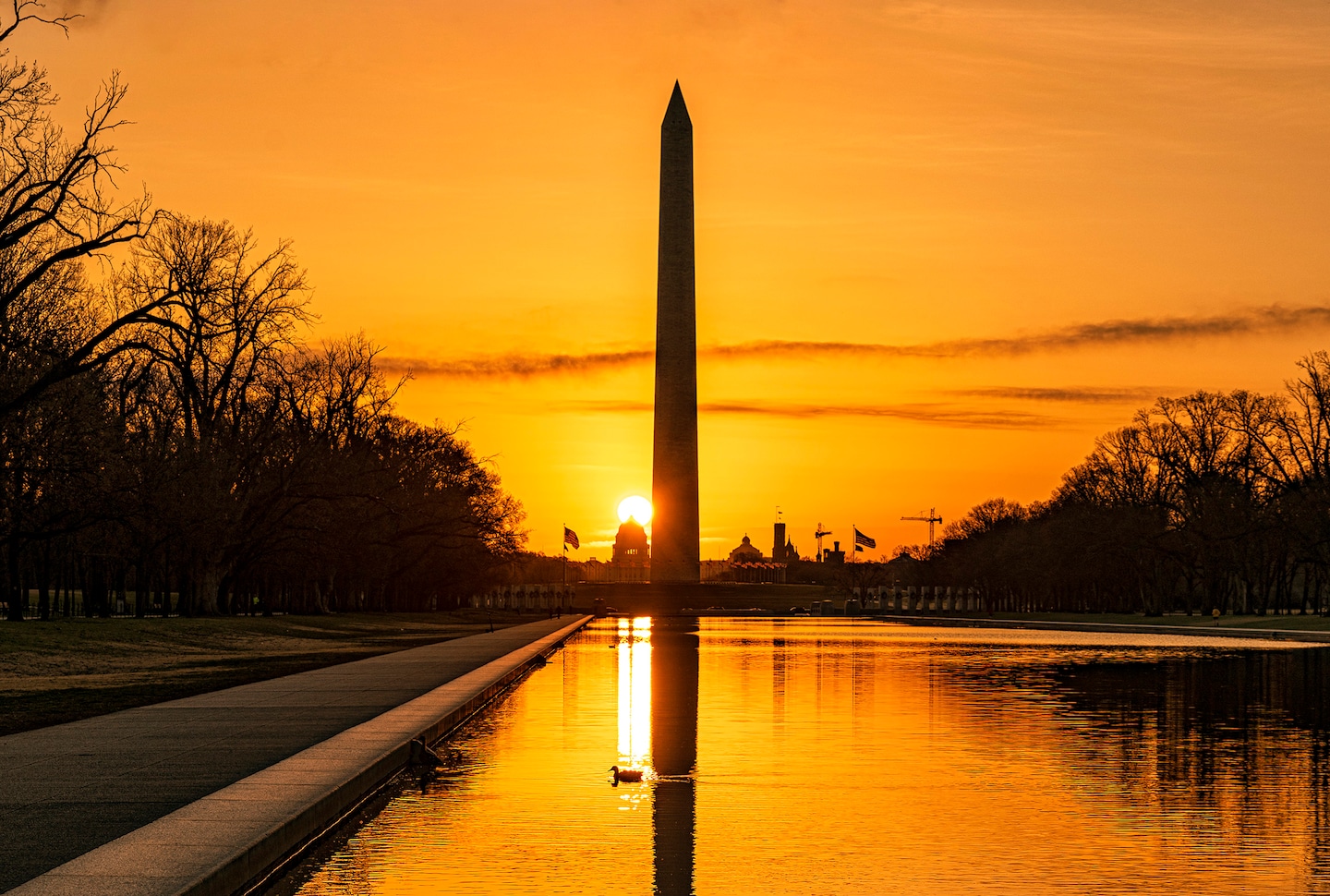 48 Hours in Washington DC: A Travel Desk Itinerary