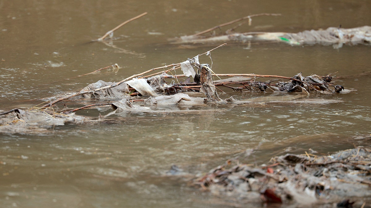 Trump Greenlights FEMA Emergency Aid as DC Sewage Crisis Drags On