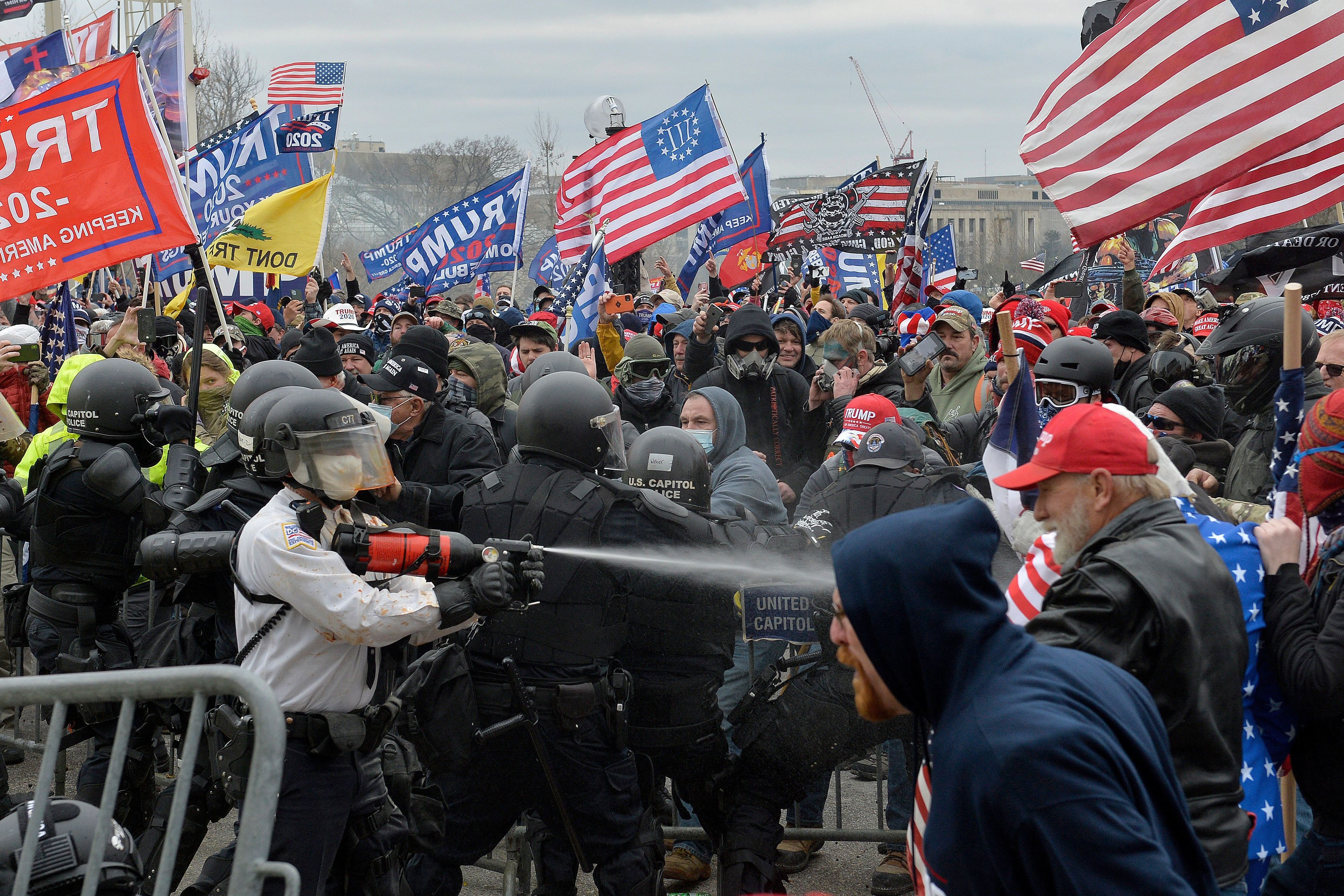 Cult Dynamics in U.S. Politics: What DC Insiders See
