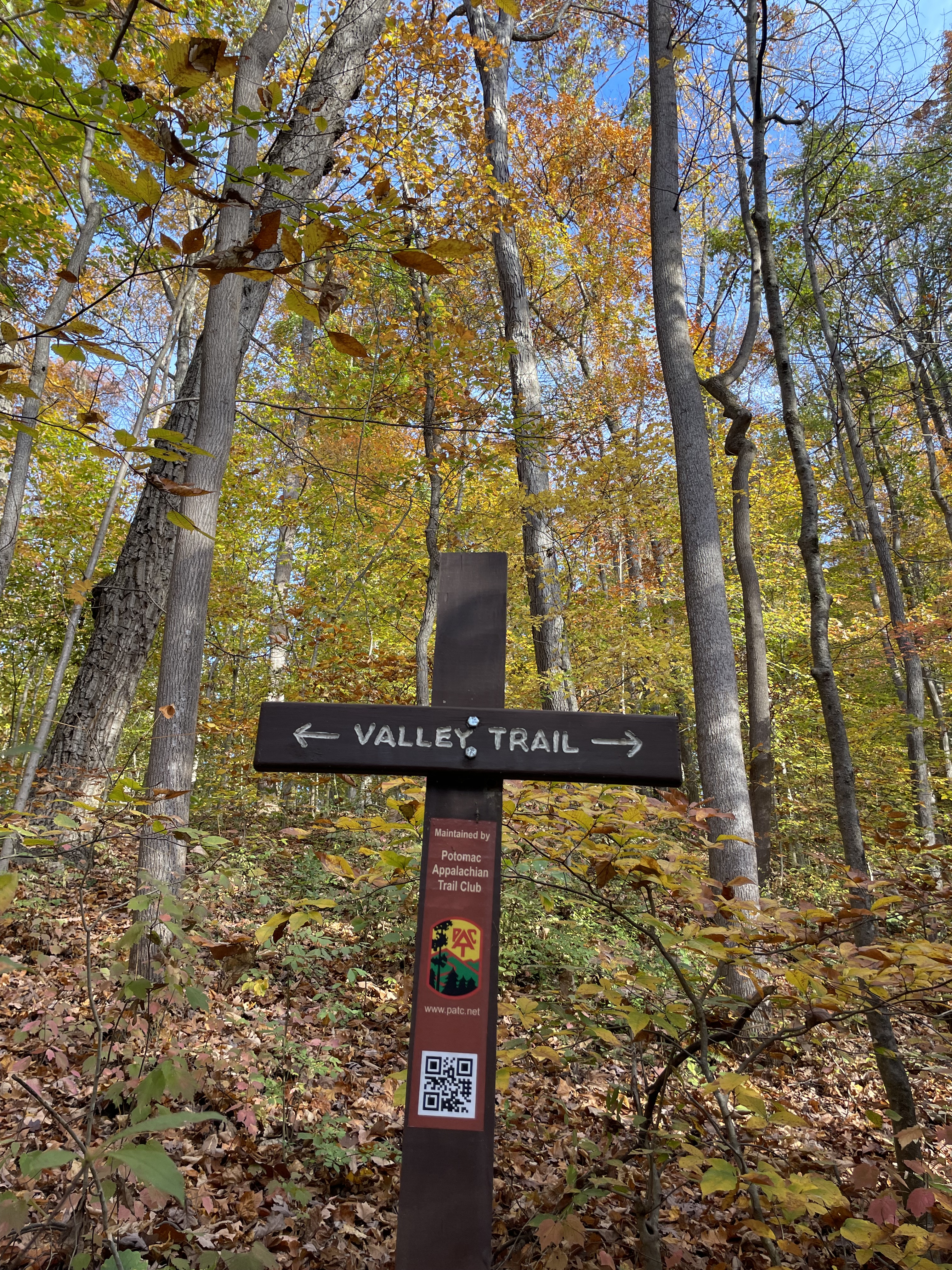 DC's Park System Just Ranked #1 in America, Beating NYC