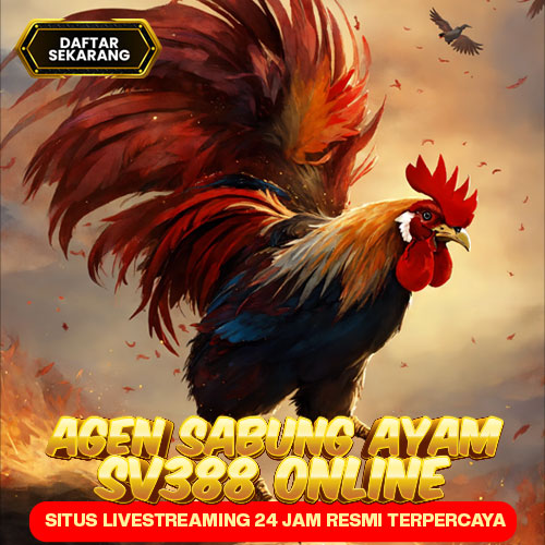 SV388 Agen Sabung Ayam Online Livestreaming 24 Jam Resmi Terpercaya