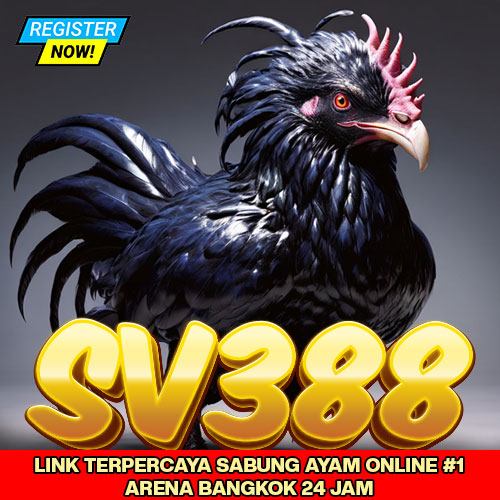 SV388 > Link Terpercaya Sabung Ayam Online #1 Arena Bangkok 24 Jam