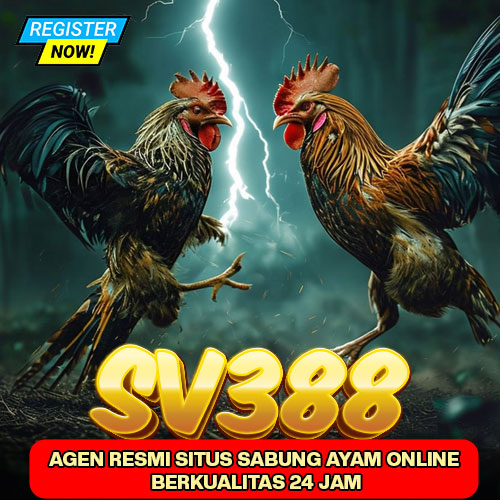 SV388: Agen Resmi Situs Sabung Ayam Online Berkualitas 24 Jam