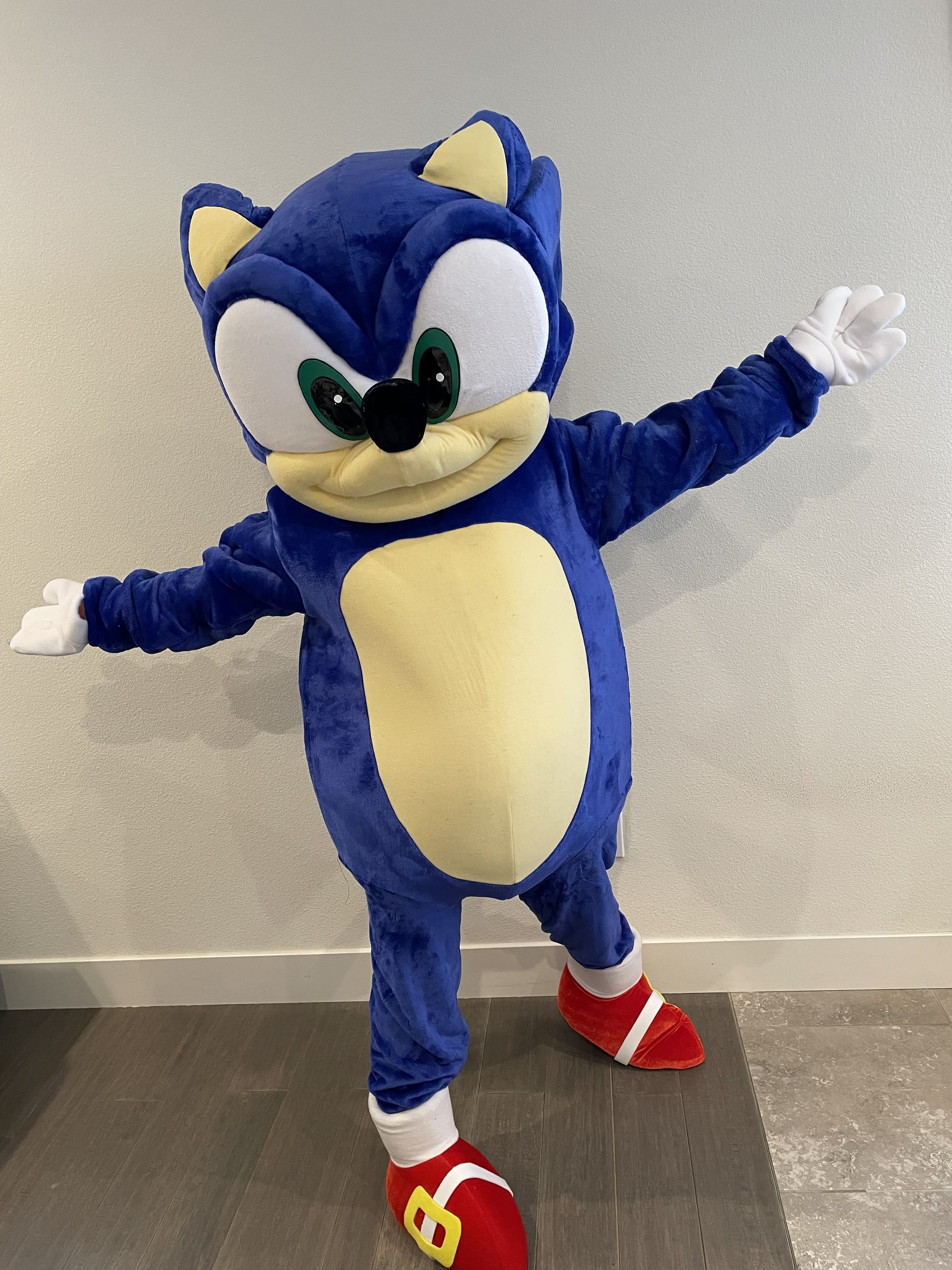 Blue Hedgehog character