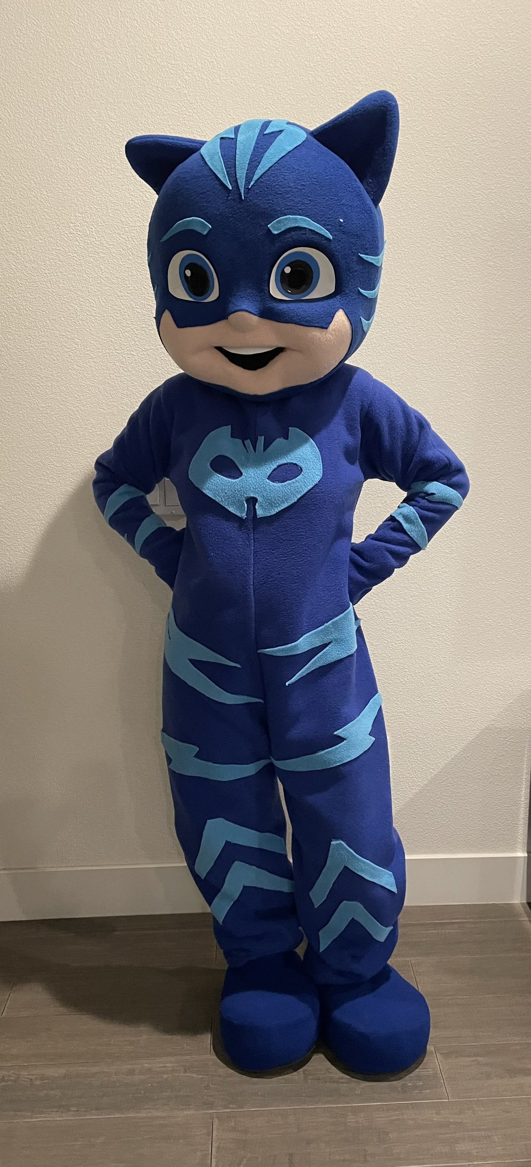Blue Hero character