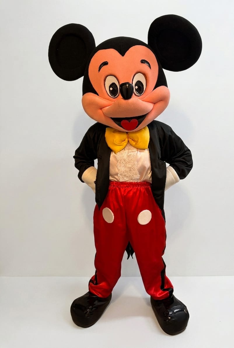 Boy Mouse character