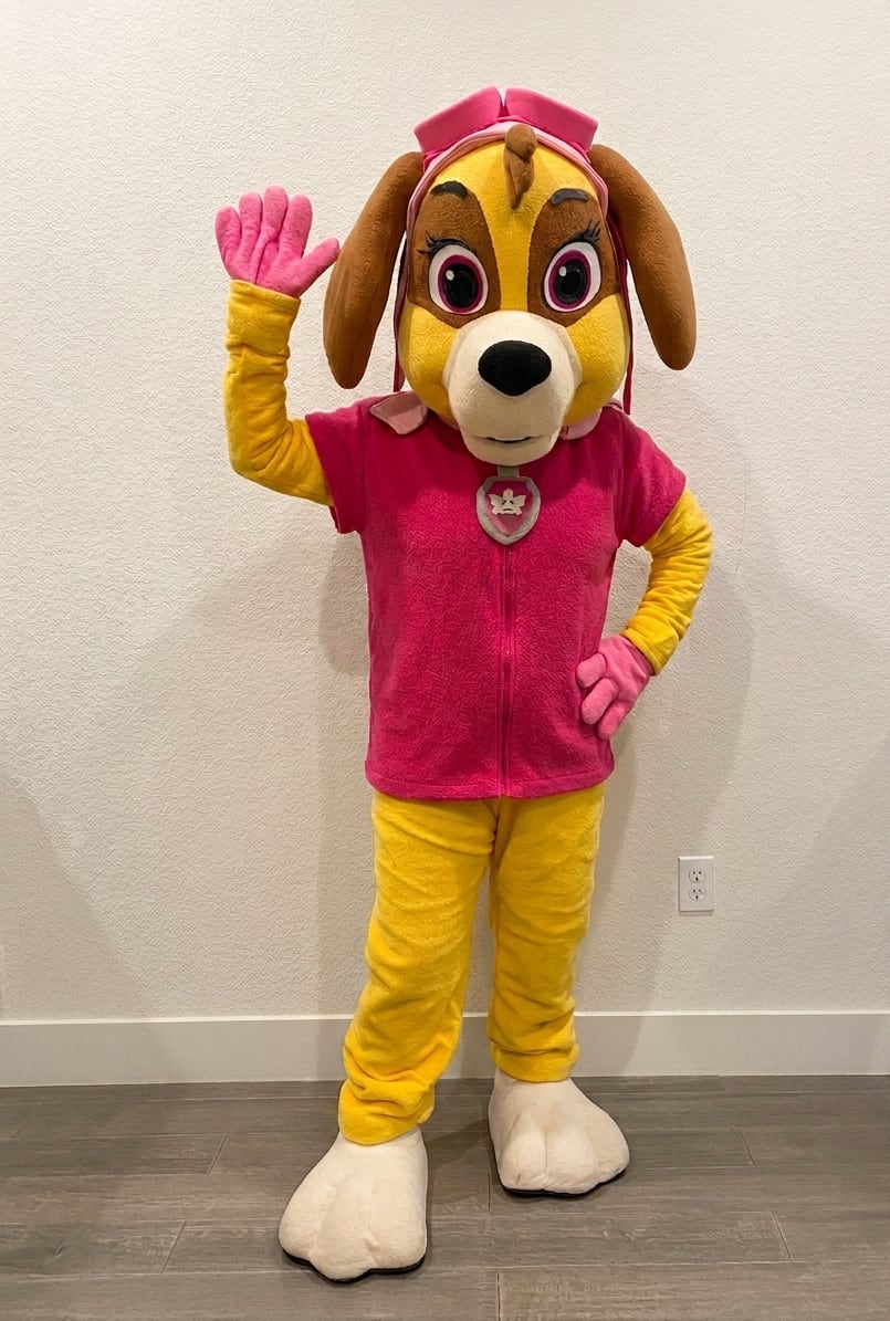 Cockapoo Pilot Dog character
