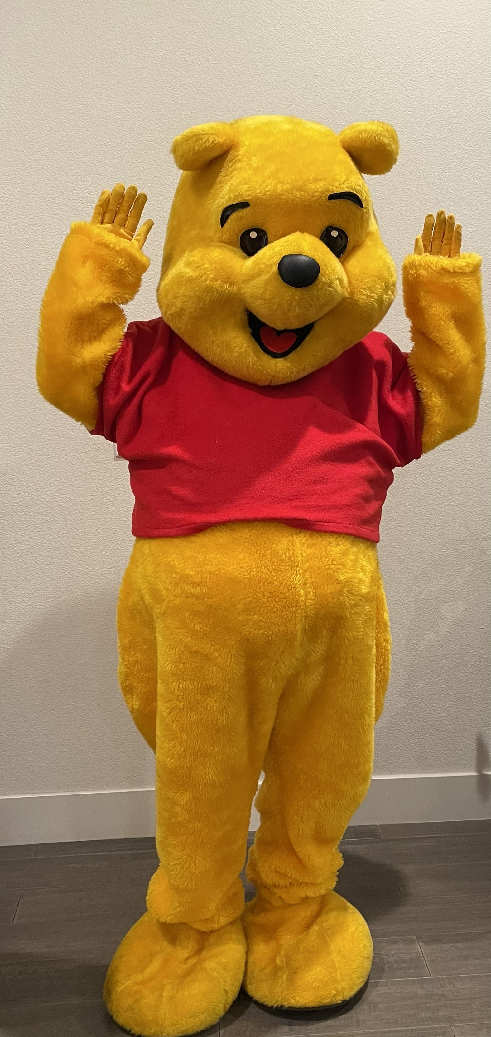 Cute Cuddly Bear character