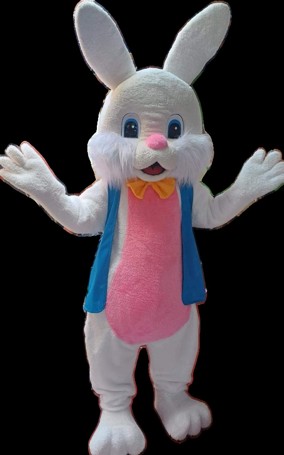 Easter Bunny character