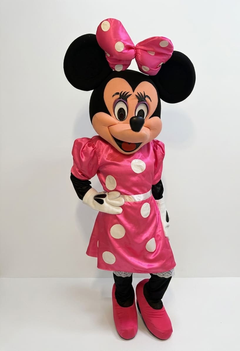 Pink Girl Mouse character