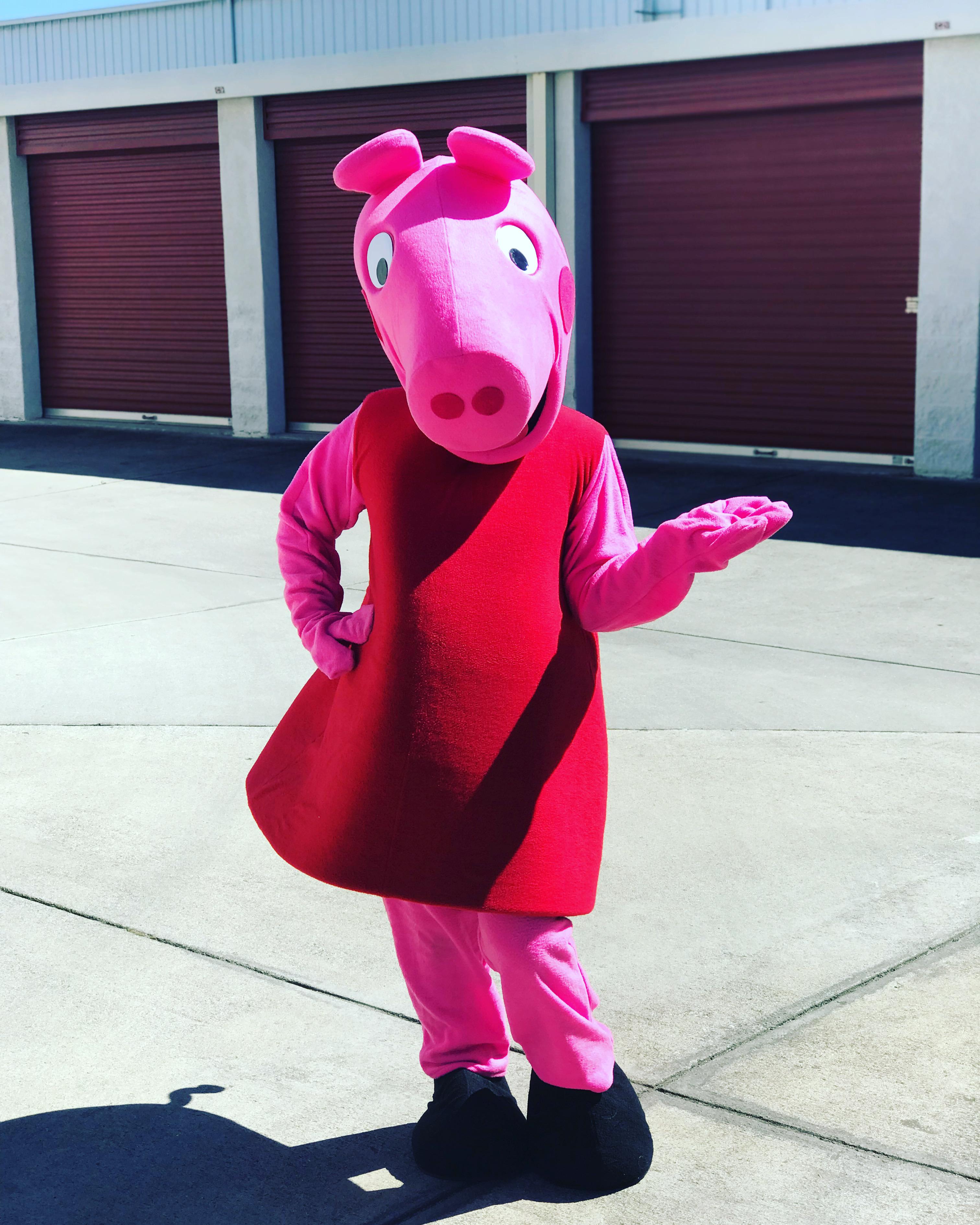 Pink Pig character