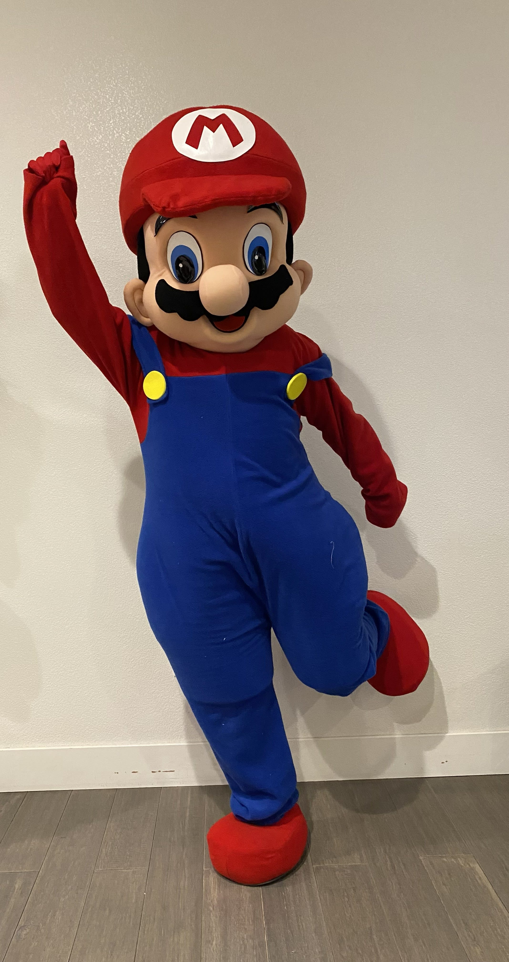 Red Italian Brother character