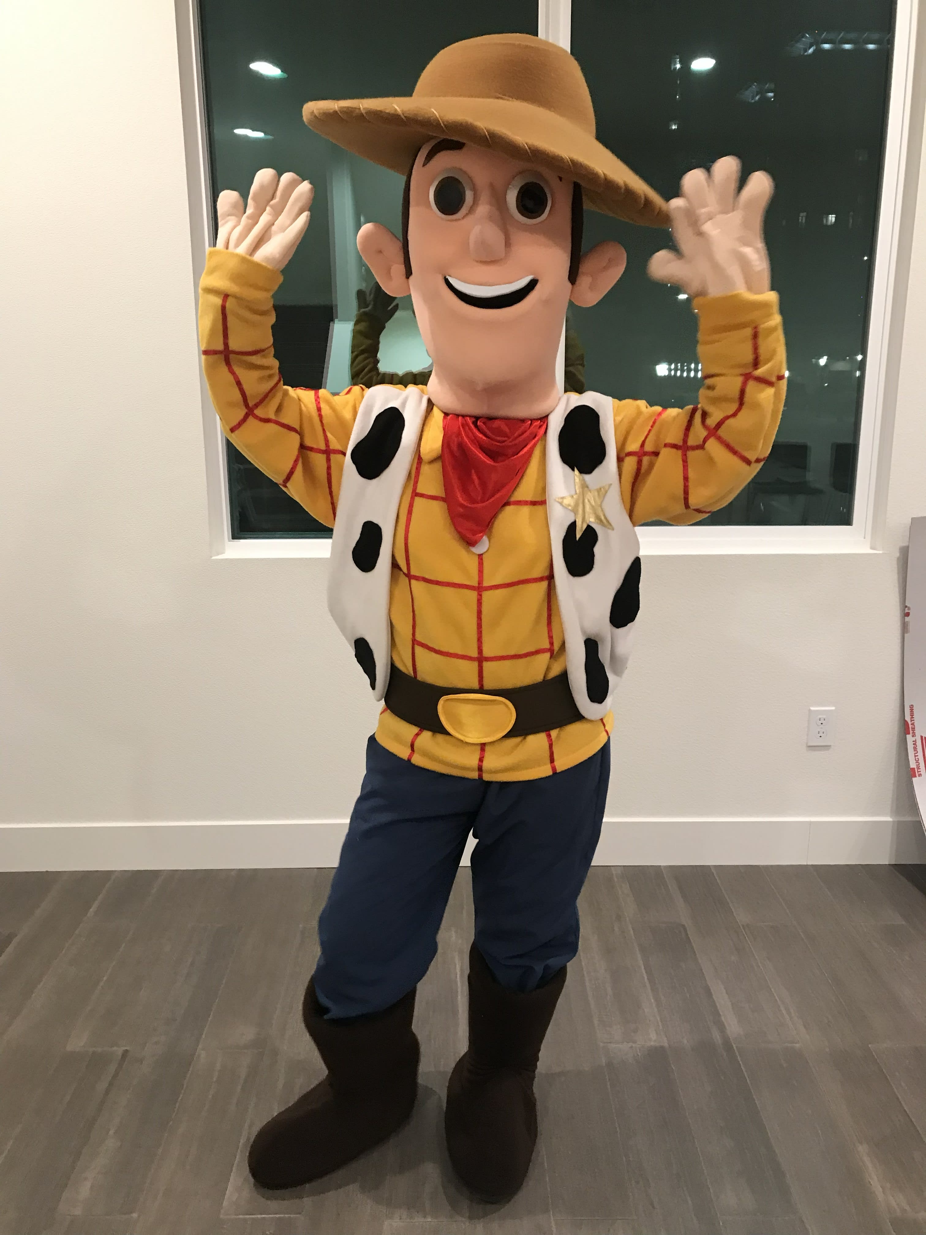 Toy Cowboy character