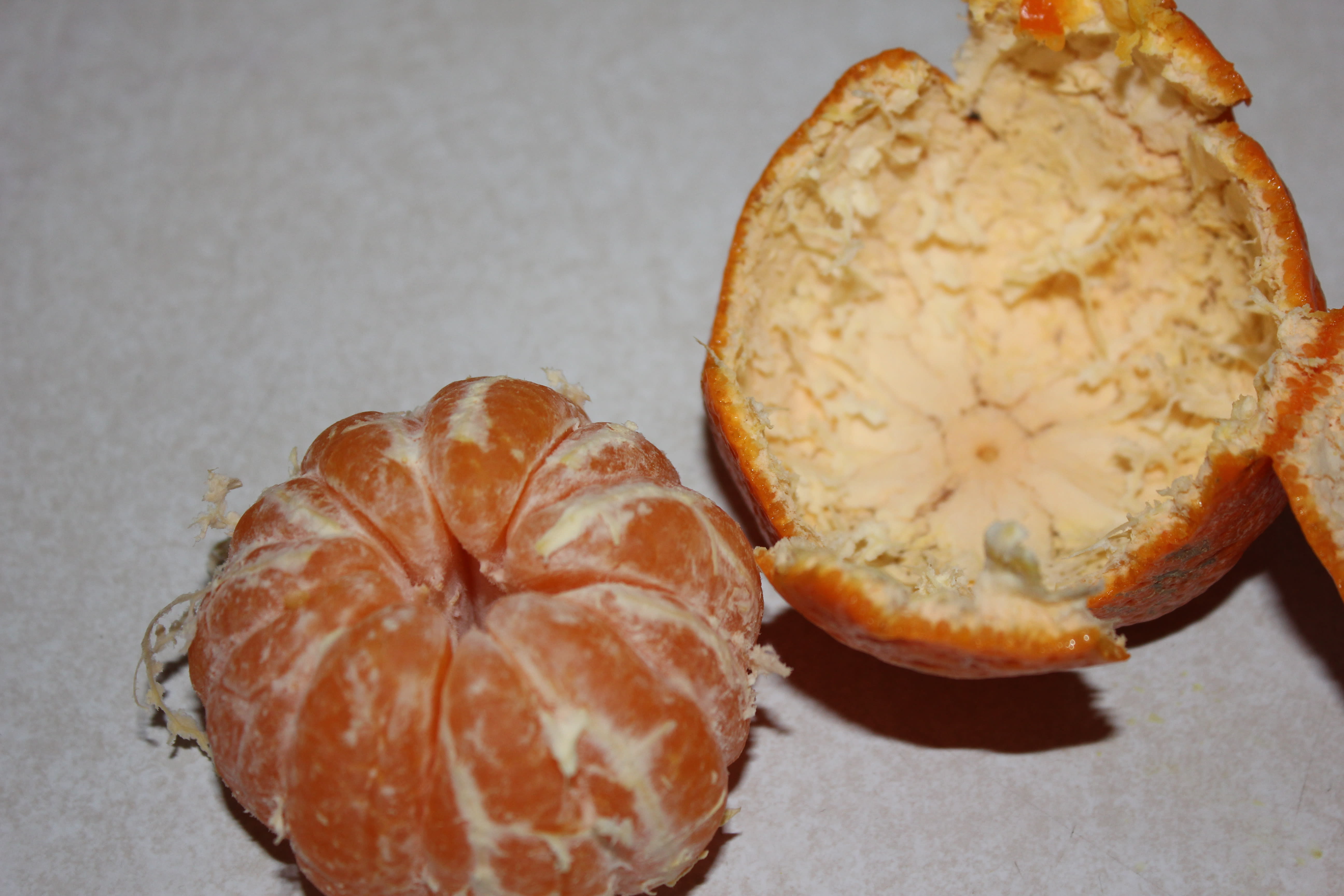 Pithless Orange Orange Autopsy | Nutritious Movement