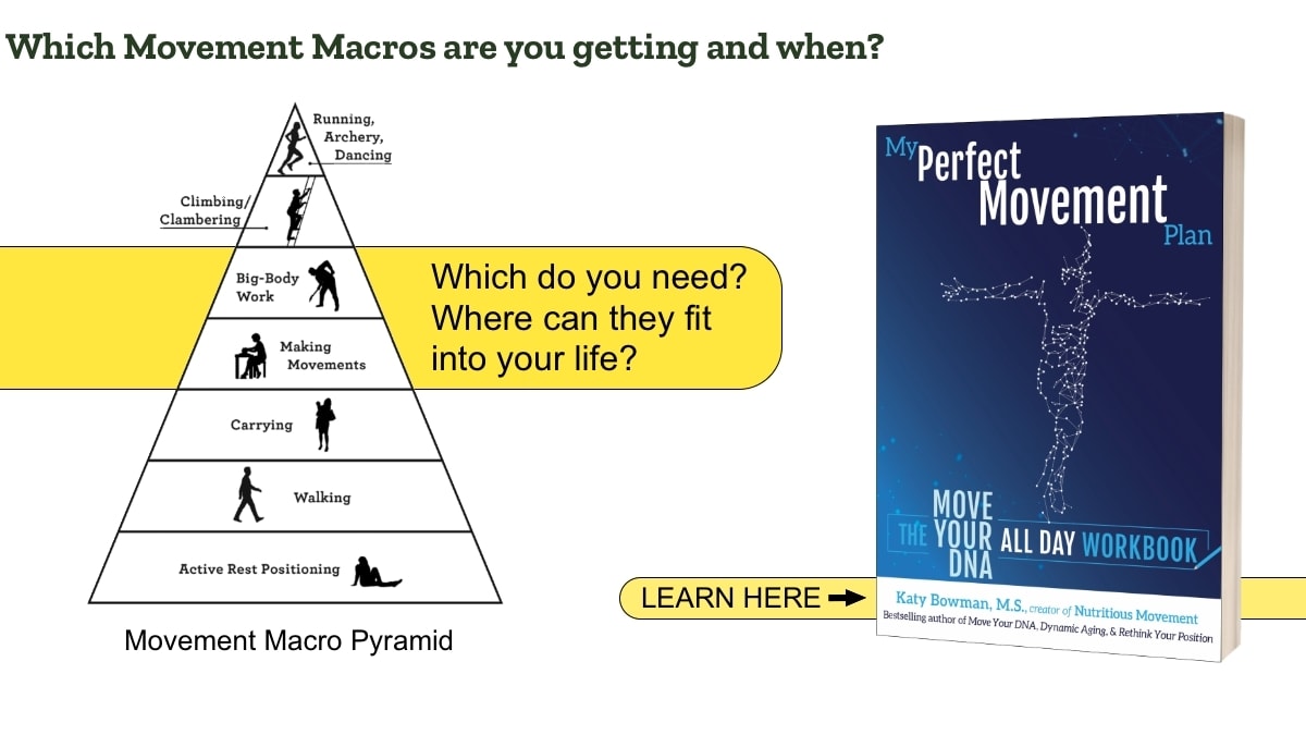Movement Plan Matrix My Perfect Movement Plan Tutorial | Nutritious Movement