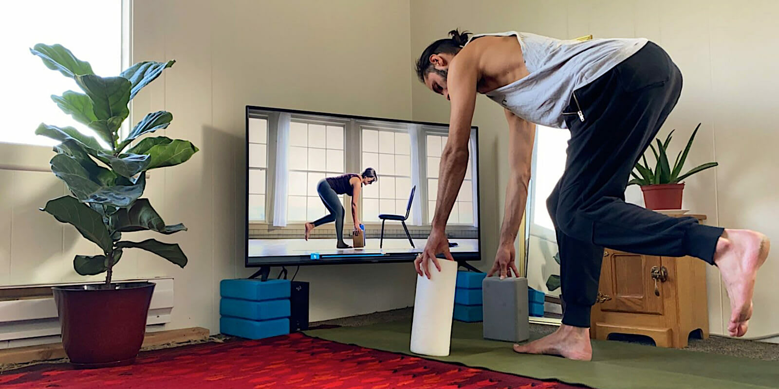 Build Your Exercise Program
