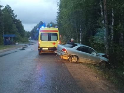 В Северодвинске водитель легковушки на всех парах влетел в дерево