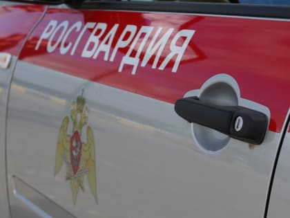 В Архангельске наряд Росгвардии задержал гражданина, который подозревается в хищении алкоголя