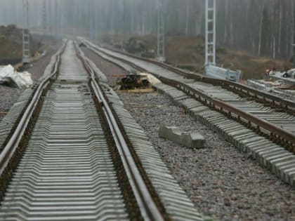В РЖД рассказали, сколько людей пострадали из-за неправильного перехода путей