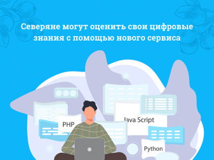 Северяне могут оценить свои цифровые знания с помощью нового сервиса