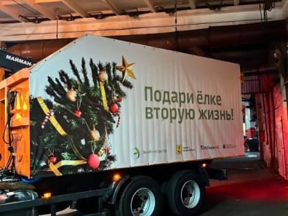 В Архангельске продолжается экопроект по утилизации елей