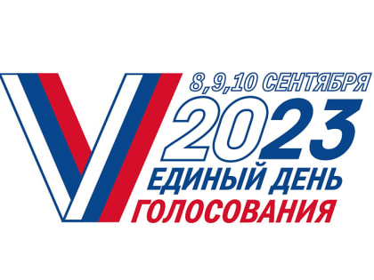 Голосуем, не выходя из дома