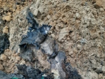 Жители Ненецкого автономного округа признаны виновными в похищении и убийстве с особой жестокостью местного жителя