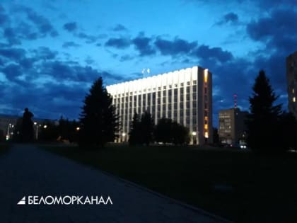 Люди оплатят всё. В Архангельске предлагают наштамповать сайты для каждого дома