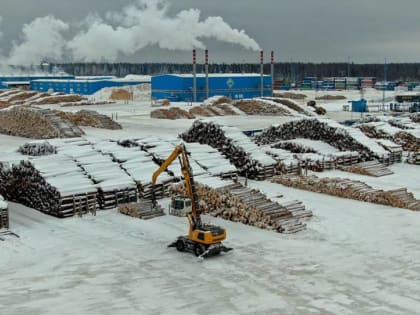 Депутаты Госдумы поддержали выделение 15 млрд рублей на развитие лесохозяйственного комплекса в регионах России