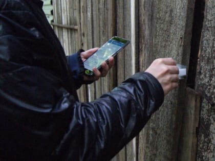 В Устюге осудили котлашанина-закладчика