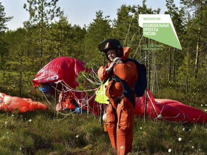 В 2024 году полностью завершится техническое переоснащение лесничеств Поморья