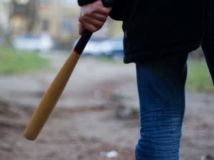 Архангелогородец, жестоко избивший битой своего должника, предстанет перед судом