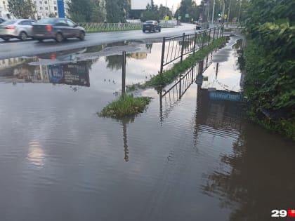 В Архангельске анонсировали реновацию проспекта Ломоносова