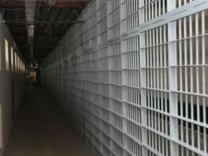 Молодой северодвинец, залезший в ларек «Шаурма», отправился к депутату Трухину