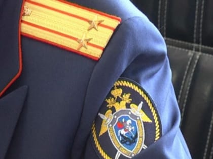 В Новодвинске задержана подозреваемая в покушении на убийство сожителя