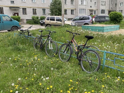 Храни педали, чтоб не украли