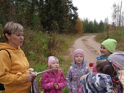 На прогулку в лес