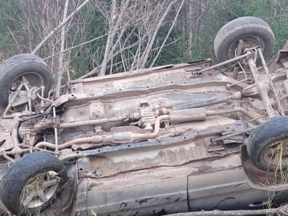 На юге Архангельской области легковушка съехала в кювет. Погиб водитель