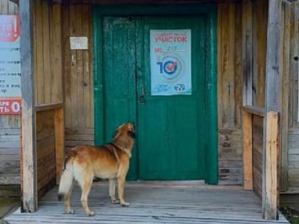 В Северодвинске отрапортовали о первом дне выборной трехдневки