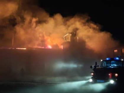 Пожар на пилораме в Вельске