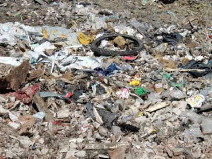 В Поморье в 2019 году будет ликвидировано около 70 несанкционированных свалок
