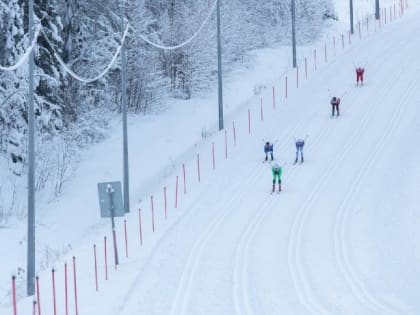 В Поморье принимаются заявки на участие в конкурсах в целях поддержки лыжного спорта