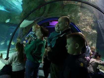 Семья Лебедевых на новогодних каникулах побывали в Москве