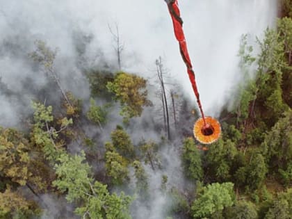 С 27 июня на территории Архангельской области введен особый противопожарный режим