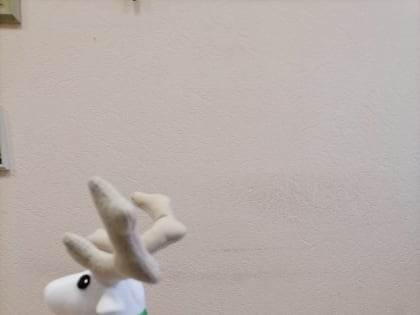 Гости из НАО посетили музей истории АМИ