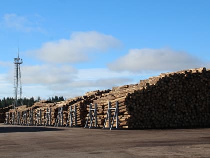 За последние 10 лет в ЛПК Архангельской области вложено порядка 90 млрд рублей