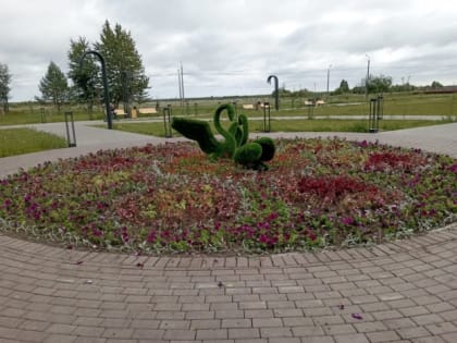 Более 85 тысяч цветов будет высажено в Северодвинске